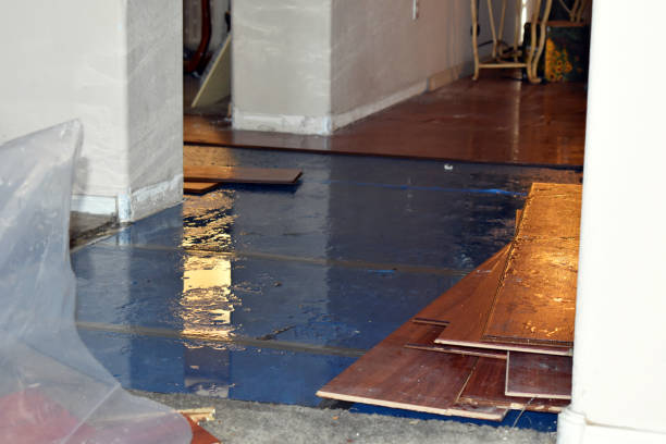 Professional Burst Pipe Cleanup technician working in Rogers, TX